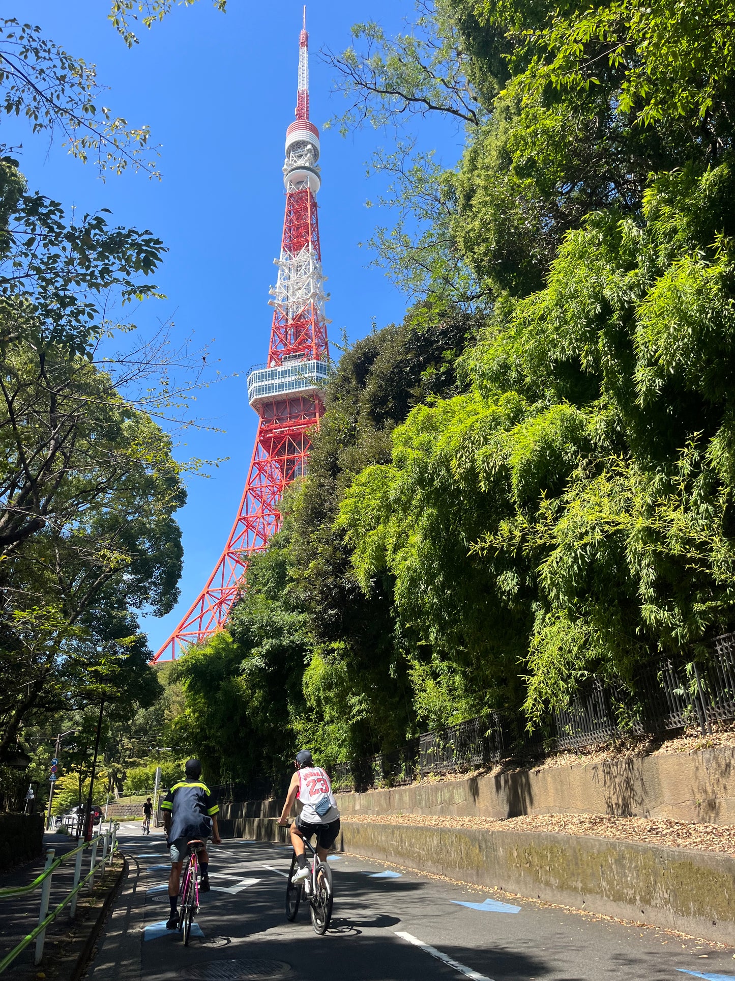 TOKYO 3H Cycling Tour